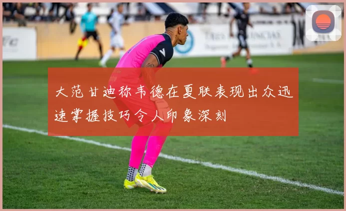 大范甘迪称韦德在夏联表现出众迅速掌握技巧令人印象深刻