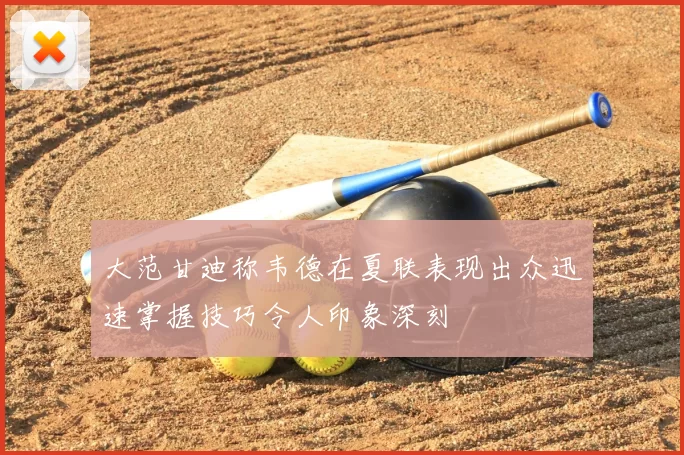 大范甘迪称韦德在夏联表现出众迅速掌握技巧令人印象深刻
