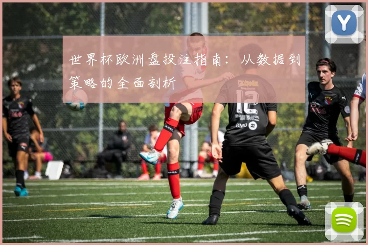 世界杯欧洲盘投注指南：从数据到策略的全面剖析