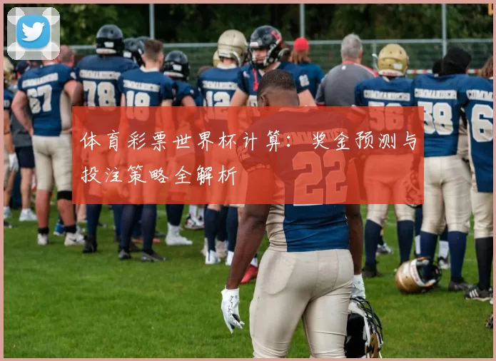 体育彩票世界杯计算：奖金预测与投注策略全解析