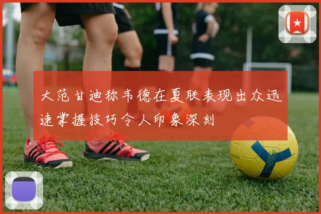 大范甘迪称韦德在夏联表现出众迅速掌握技巧令人印象深刻